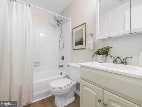 1585 Native Dancer Ct, Annapolis, MD 21409 photo 17