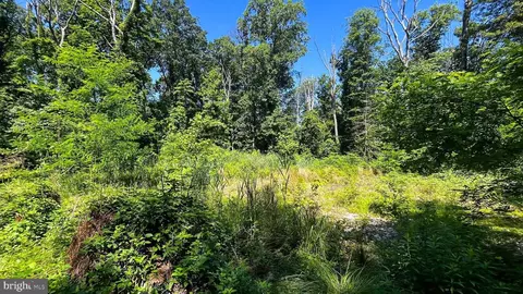 lot17 Vinter Ln, Pasadena, MD 21122 photo 17