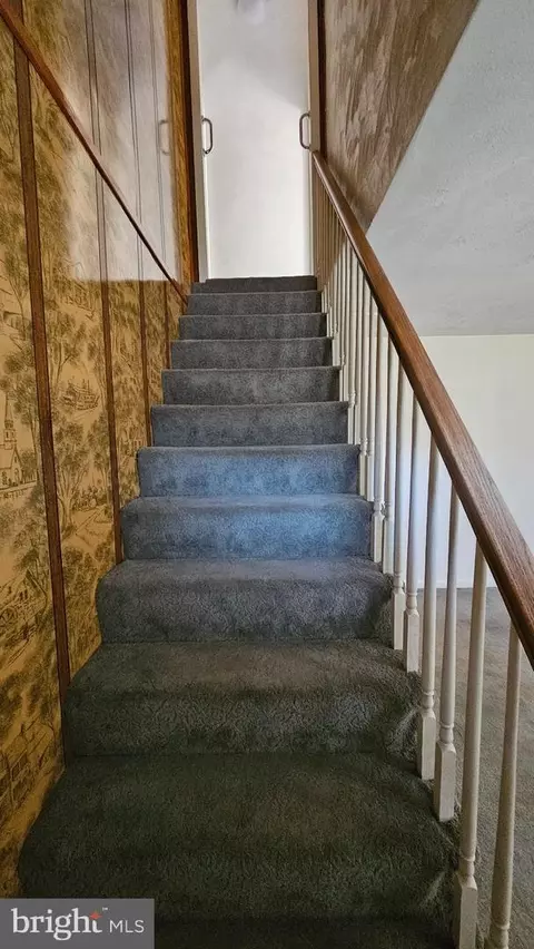 7756 Williams St, Pasadena, MD 21122 photo 18