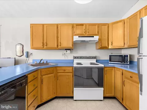 313 Doris Ave, Brooklyn, MD 21225 photo 5
