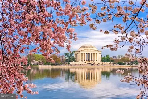 211 Parker Ave, Annapolis, MD 21401 photo 29