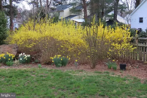 312 Wembly Way, Severna Park, MD 21146 photo 51