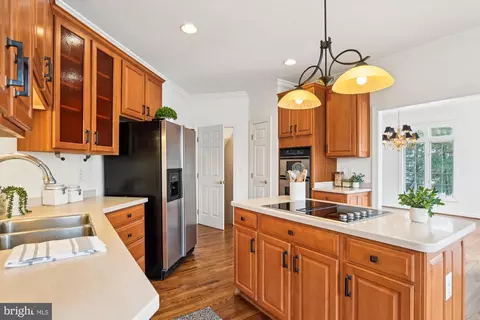 219 Spring Race Ct, Annapolis, MD 21401 photo 14