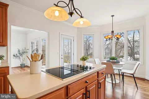 219 Spring Race Ct, Annapolis, MD 21401 photo 15