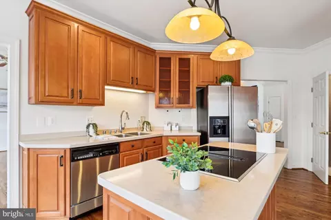 219 Spring Race Ct, Annapolis, MD 21401 photo 13