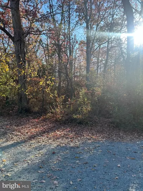 4748 Chestnut Rd, Shady Side, MD 20764 photo 3