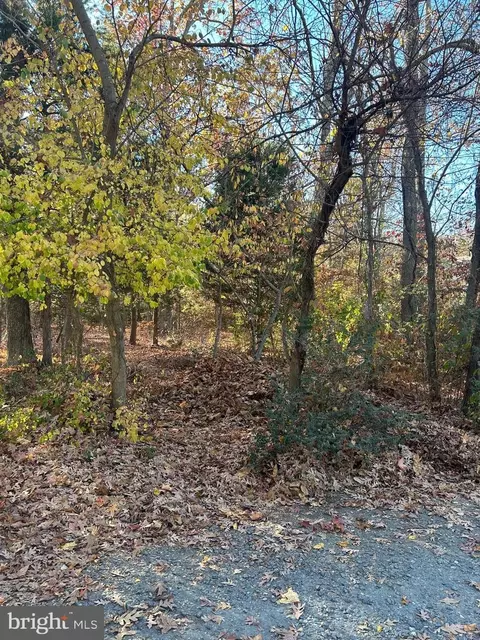 4748 Chestnut Rd, Shady Side, MD 20764 photo 4