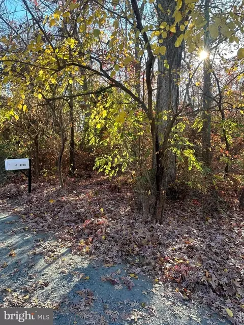 4748 Chestnut Rd, Shady Side, MD 20764 photo 6