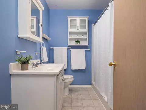 Bath - 2004 Aberdeen Dr, Crofton, MD 21114 photo 4 of 4