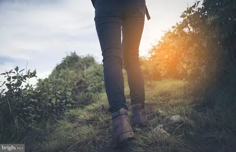 110 Baseflow Ln, Laurel, MD 20724 photo 24