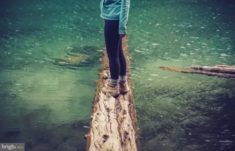 110 Baseflow Ln, Laurel, MD 20724 photo 28