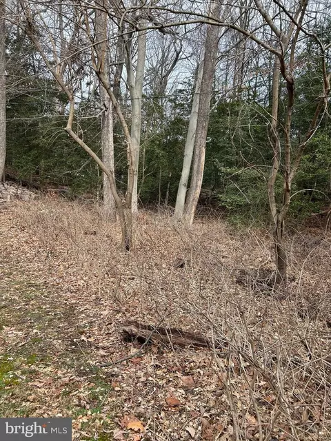 Elm Trail, Crownsville, MD 21032