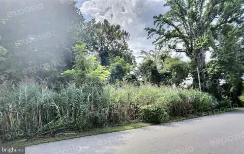 Bush Avenue, Pasadena, MD 21122 photo 9
