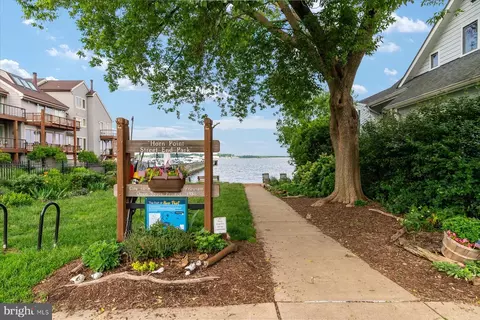 Exterior - 313 Chesapeake Ave, Annapolis, MD 21403 photo 15 of 16