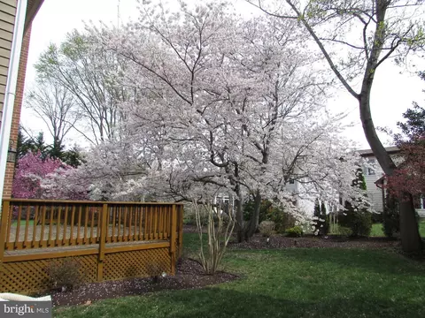 1305 Pecantree Ct, Crofton, MD 21114 photo 6
