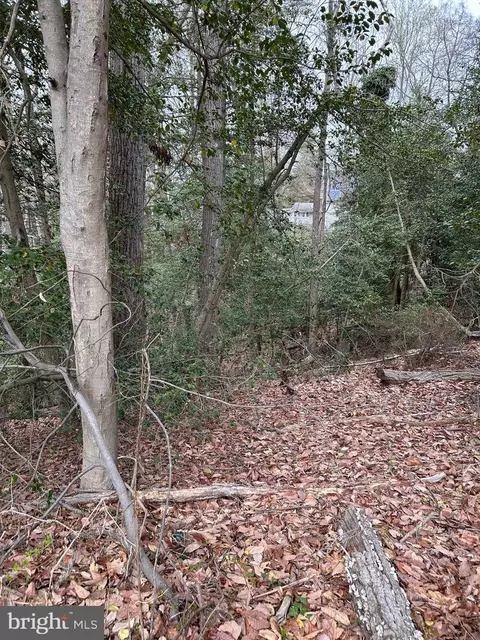 Beech Trail, Crownsville, MD 21032
