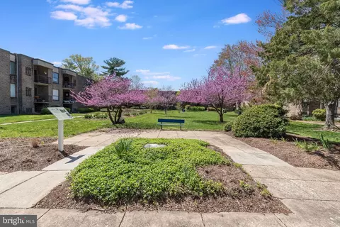 142 Georgetown Rd #6, Annapolis, MD 21403 photo 10