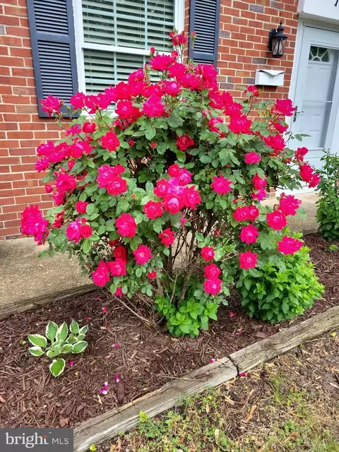 131 Arundel Rd, Pasadena, MD 21122