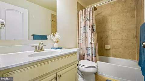 7106 River Birch Dr, Hanover, MD 21076 photo 22