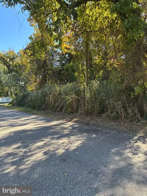 Bush Avenue, Pasadena, MD 21122 photo 2