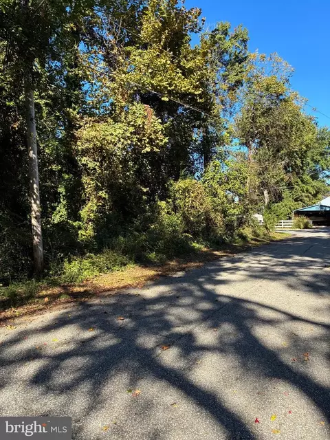 Bush Avenue, Pasadena, MD 21122 photo 3