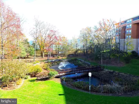 View/Area - 7101 Bay Front Dr #301, Annapolis, MD 21403 photo 16 of 19