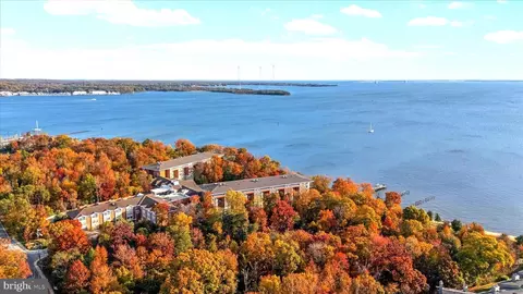 View/Area - 7101 Bay Front Dr #301, Annapolis, MD 21403 photo 9 of 19