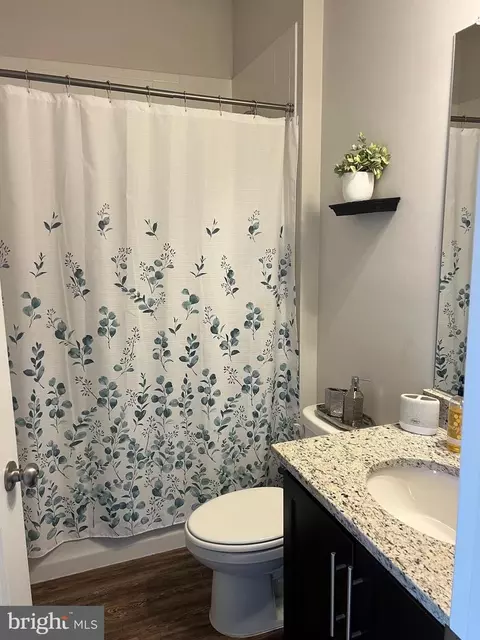 Bath - 3106 Laurel Hill Rd, Hanover, MD 21076 photo 3 of 6