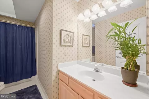 Bath - 100 Asquithoaks Ln, Arnold, MD 21012 photo 5 of 7