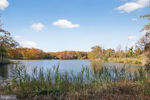 View/Area - 1571 Lane Dr, Edgewater, MD 21037 photo 5 of 5