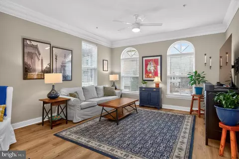 Living - 1608 Belle Dr, Annapolis, MD 21401 photo 1 of 1
