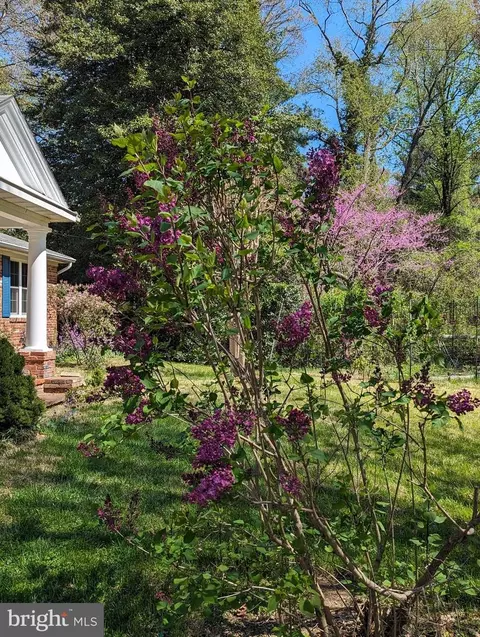 1154 Willow Ln, Annapolis, MD 21409 photo 31