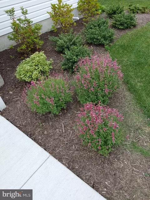 Exterior - 1215 Markham Ln, Pasadena, MD 21122 photo 5 of 7