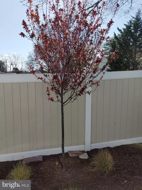 Exterior - 1215 Markham Ln, Pasadena, MD 21122 photo 7 of 7