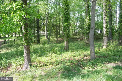 Other - 4785 Mountain Rd, Pasadena, MD 21122 photo 15 of 16