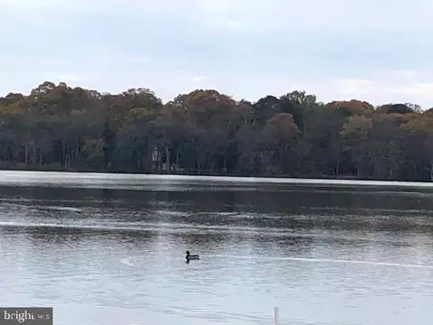 View/Area - 2142 Lake Dr, Pasadena, MD 21122 photo 7 of 7
