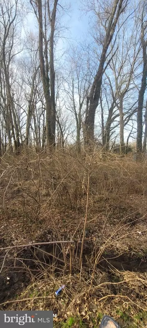 Mayo Road, Mayo, MD 21106 photo 6