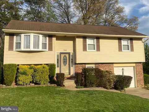 7533 Lemon Tree Ct, Hanover, MD 21076
