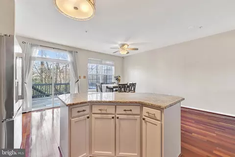 3920 Apple Orchard Dr, Pasadena, MD 21122 photo 18
