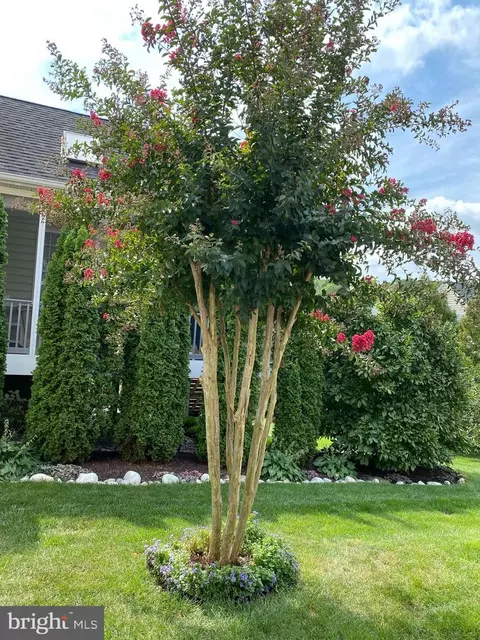 Exterior - 306 Grindstone Dr, Arnold, MD 21012 photo 8 of 9
