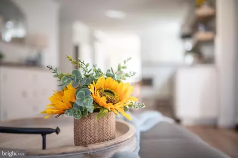 Other - 3646 N Carolina Ave, Edgewater, MD 21037 photo 3 of 24