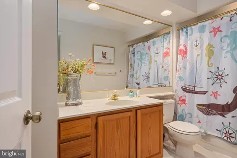 Bath - 147 Spring Place Way, Annapolis, MD 21401 photo 3 of 4
