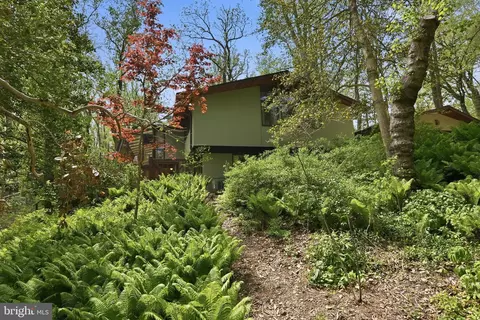 515 Powell Dr, Annapolis, MD 21401 photo 35