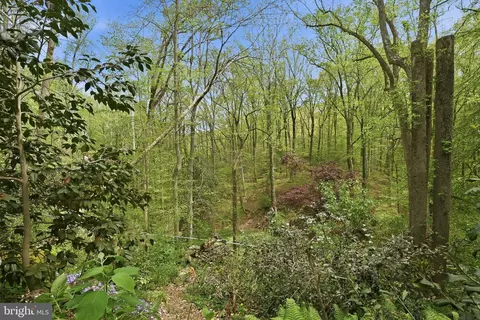 515 Powell Dr, Annapolis, MD 21401 photo 30