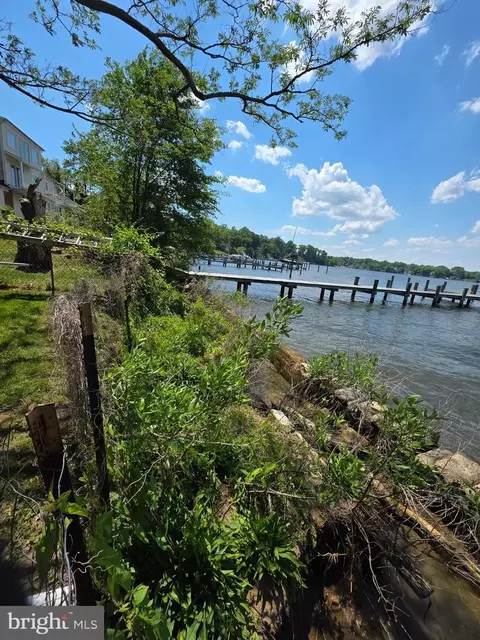 View/Area - 145 Edgewater Dr, Edgewater, MD 21037 photo 13 of 23