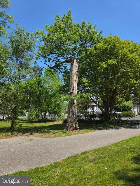 Other - 145 Edgewater Dr, Edgewater, MD 21037 photo 18 of 25