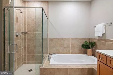 Bath - 66 Franklin St #306, Annapolis, MD 21401 photo 3 of 4