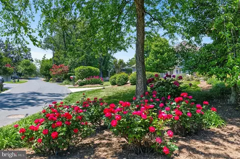 Exterior - 3650 Bay Dr, Edgewater, MD 21037 photo 4 of 4