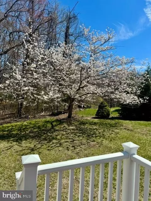 Other - 903 Scupper Ct, Annapolis, MD 21401 photo 15 of 15