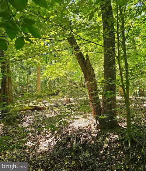 Herald Harbor Rd, Crownsville, MD 21032